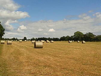 5 year old dies in farm accide...